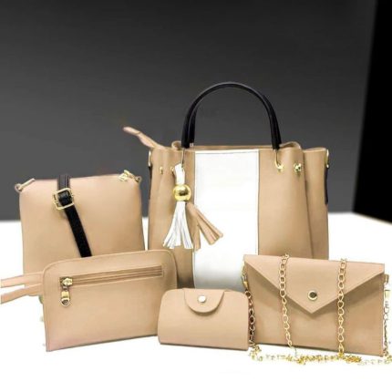 Jimmy choo bag 5PC