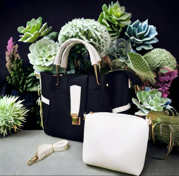Two’s Better Than One Sleek & Functional Bag Set - Image 1