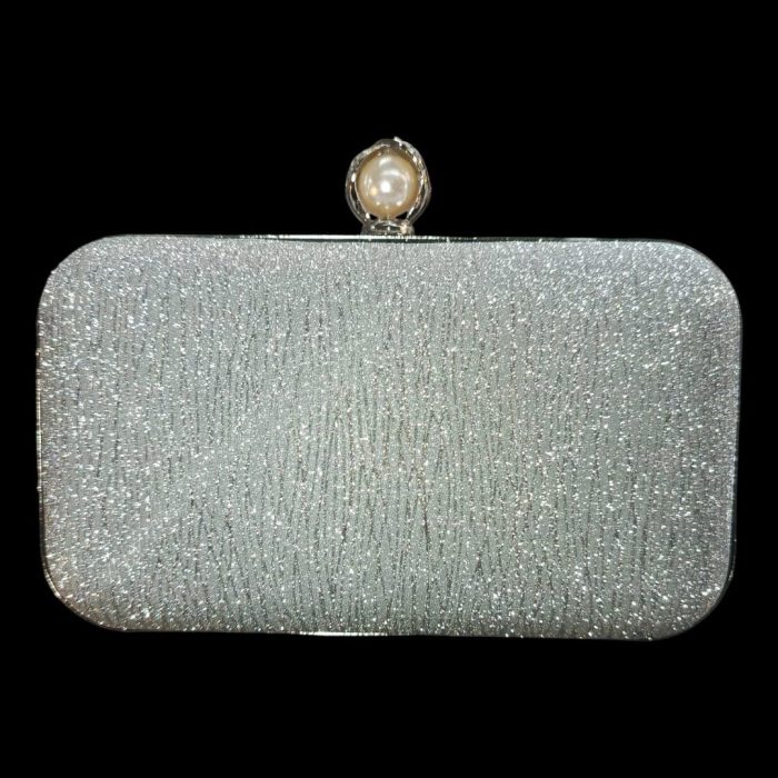 Fancy Clutch_(Silver) - Image 1