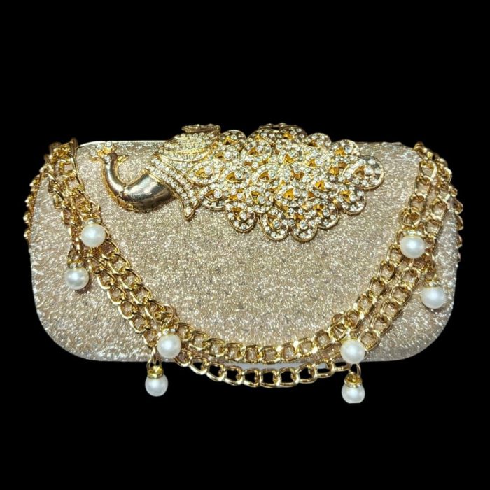 Fancy Clutch _ (Golden) - Image 1